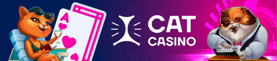 баннер Cat casino